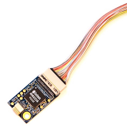 Intan 36-pin wire adapter with headstage