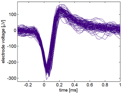 Aligned neural spikes from Intan RHD2000 chip