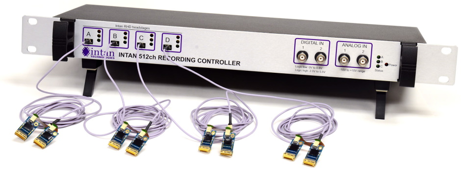 Intan RHD recording system